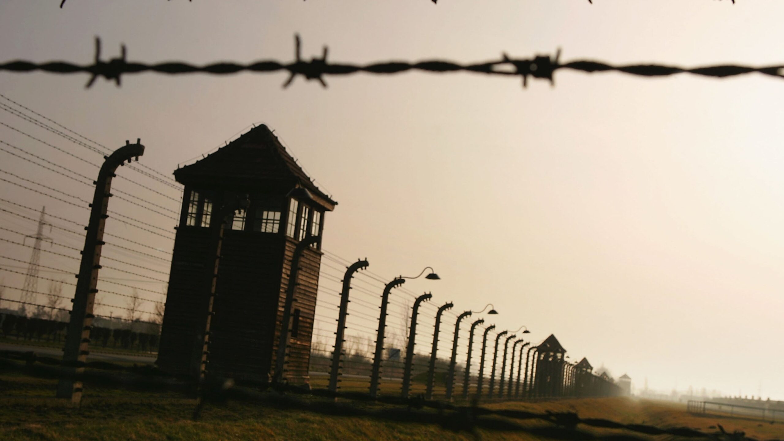 Israel’s 70th Anniversary and the Holocaust